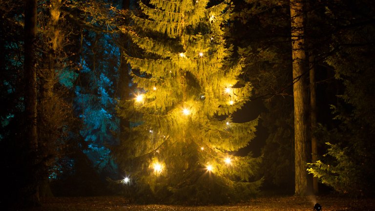 Christmas is here, and all that it brings